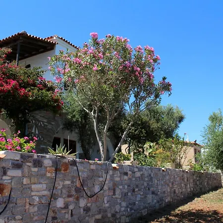 Сasa de vacaciones Blue Fox 1 *