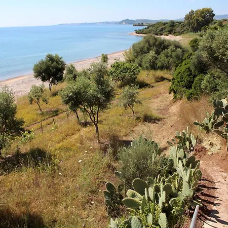 Hébergement de vacances Blue Fox 1 *