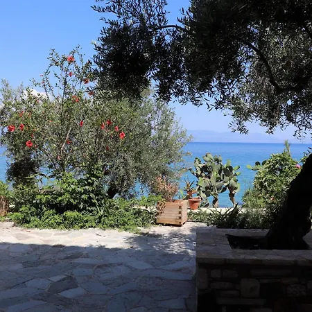 Blue Fox 1 Feriehus *